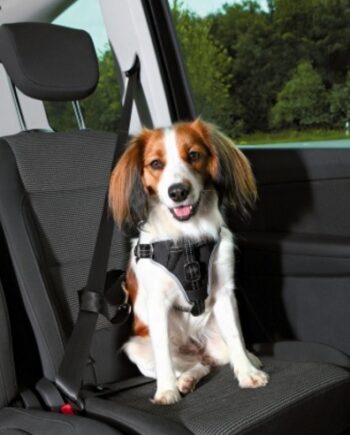 Dog Protect Hundesikkerhedssele Til Bil