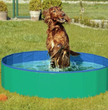 Doggy Pool  Hundepool  Grøn Blå
