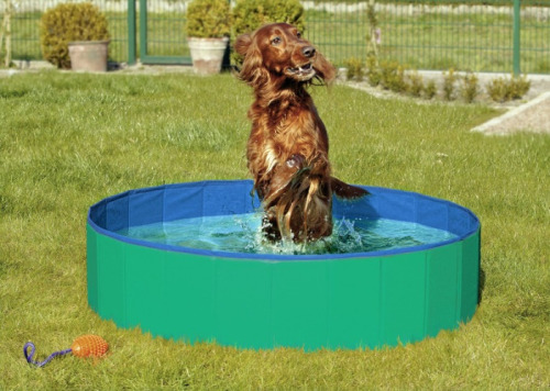 Doggy Pool Hundepool Grøn Blå