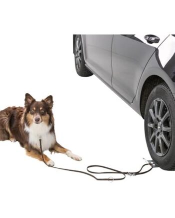 Drive-on Plate  Hundeholder