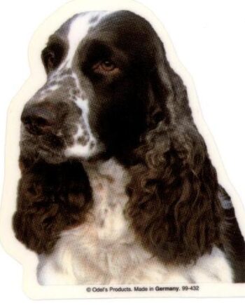 Engelsk Springer Spaniel  Hv  Vælg: Klistermærke  Nøglering  Broche  Slipsenål  Mm