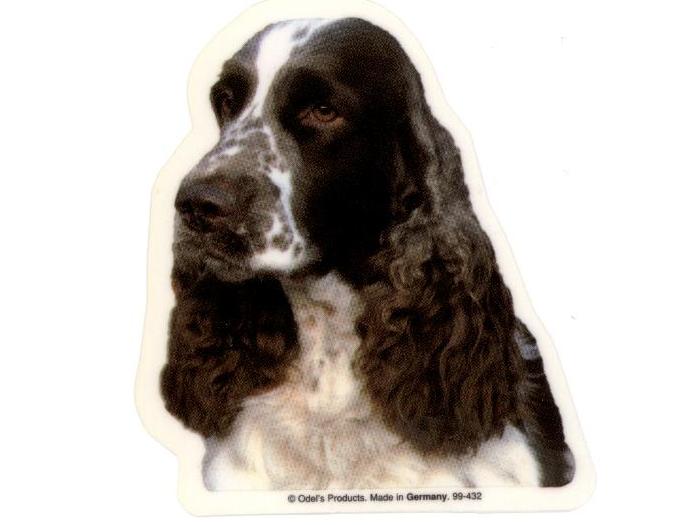 Engelsk Springer Spaniel Hv Vælg: Klistermærke Nøglering Broche Slipsenål Mm