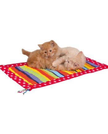 Farverigt Legetæppe Til Katte  Fleece Canvas  Med Kvaster Og Raslefolie