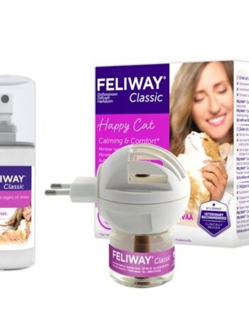 Feliway Kat