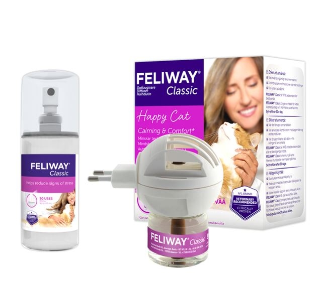 Feliway Kat
