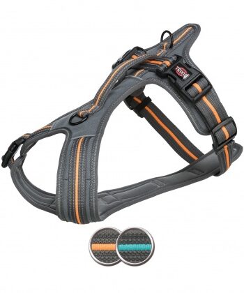 Fusion Touring Sele