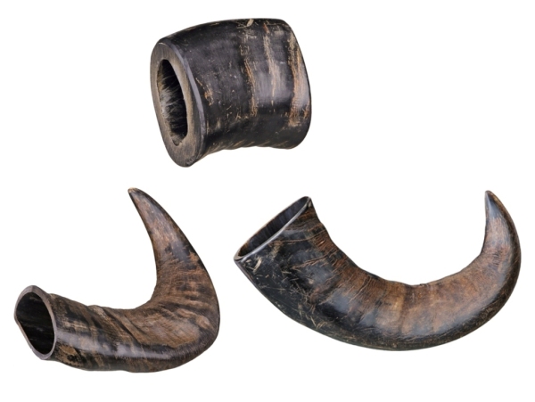 Genuine Buffalo Tyggehorn 1stk