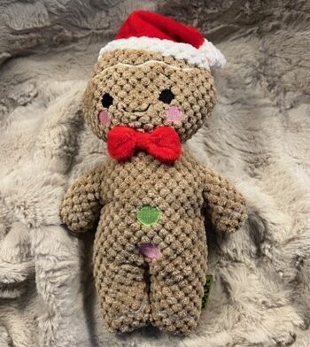 Ginny The Gingerman  Kagemand