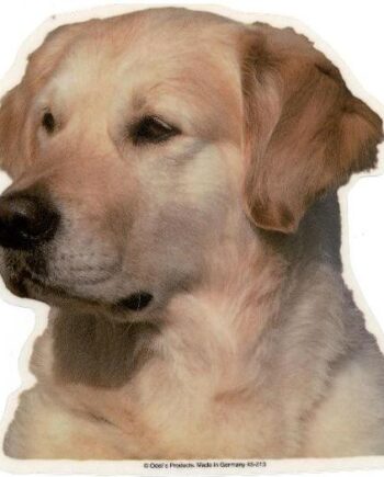 Golden Retriever  Hv  Vælg: Klistermærke  Nøglering  Broche  Slipsenål  Mm
