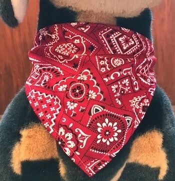 Halsbånd Bandana Med Mønster