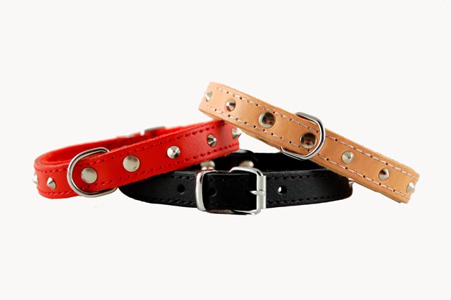 Halsbånd Basic Læder Med Nitter
