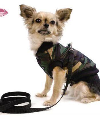 Harness  Super Smart Dækken Og Sele   Et Med Line