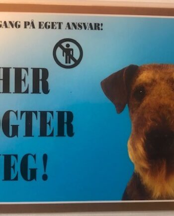 Her Vogter Jeg Aierdale Terrier