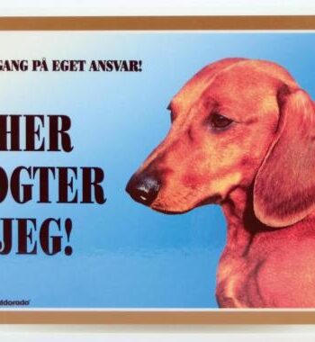 Her Vogter Jeg Korthåret Gravhund