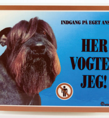 Her Vogter Jeg Schnauzer