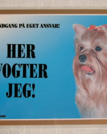 Her Vogter Jeg Yorkshire Terrier
