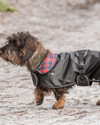 Hermy Frakke  God Til Gravhund