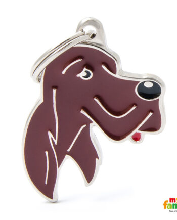Hundetegn  Irish Setter