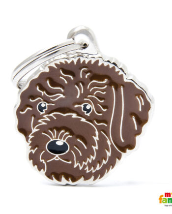 Hundetegn  Lagotto Romagnolo  Flere Farver