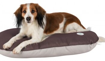 Insect Shield Pude   Oval Form