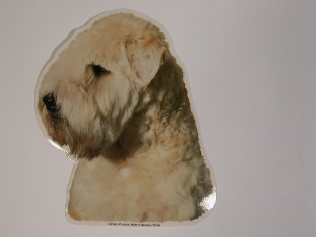Irish Softcoated Wheaten Terrier Hv Vælg: Klistermærke Nøglering Broche Slipsenål Mm