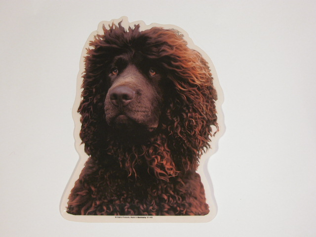 Irish Water Spaniel Hv Vælg: Klistermærke Nøglering Broche Slipsenål Mm