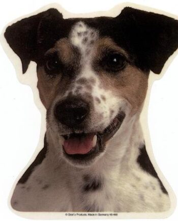 Jack Russell Terrier  Glathåret  Hv  Vælg: Klistermærke  Nøglering  Broche  Slipsenål  Mm