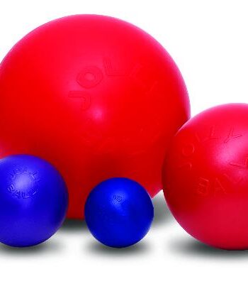 Jolly Pets Push- -play Ball