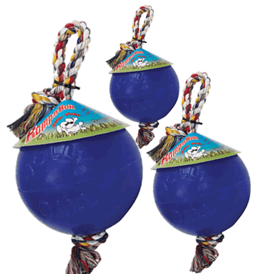 Jolly Romp- -roll Bold Med Reb