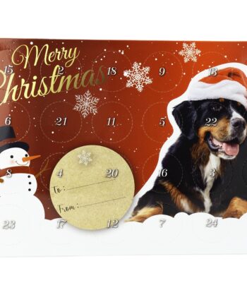 Julekalender    Mini Treats Til Hund