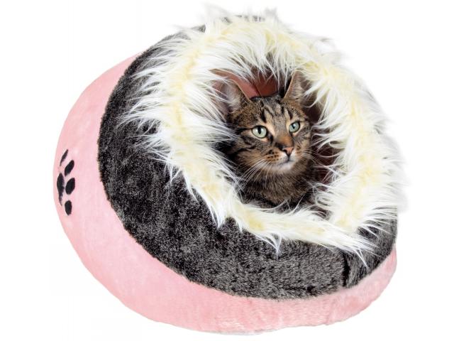 Kattehule Hundehule Quot Minou Quot