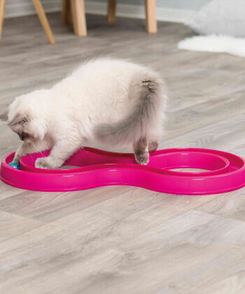 Kattelegetøj Flashing Ball Race