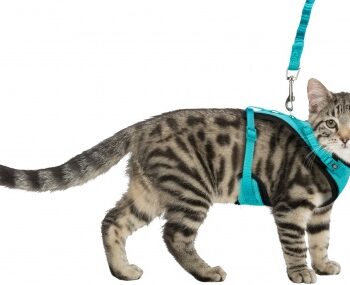 Kattesele Mesh