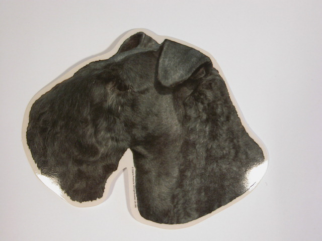 Kerry Blue Terrier Hv Vælg: Klistermærke Nøglering Broche Slipsenål Mm