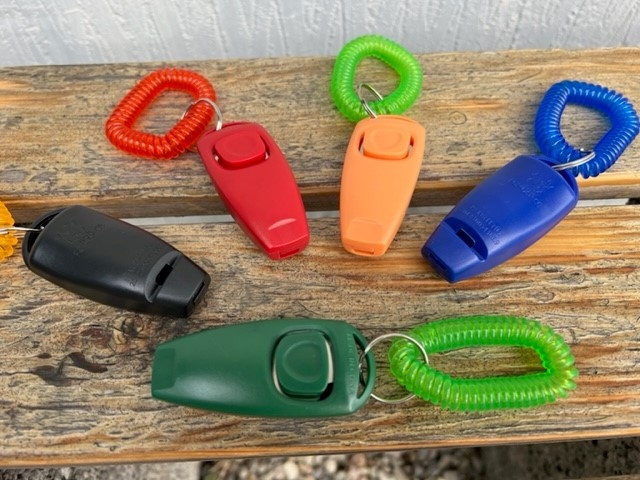 Klikker Og Fløjte Armbånd Ass Farver