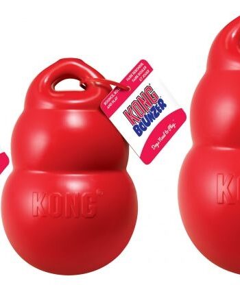 Kong Bounzer Med Håndtag