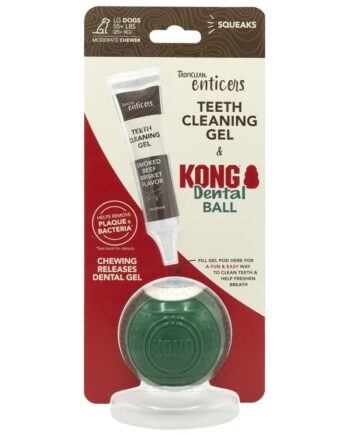 Kong Dental Ball  Inkl  35ml Gel