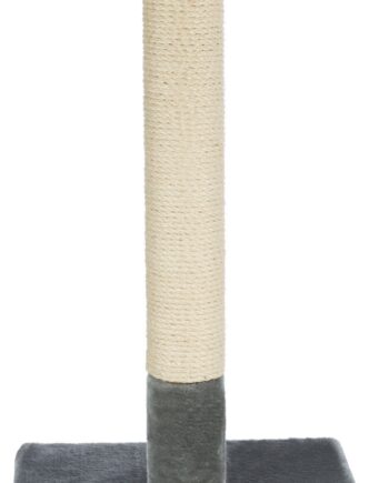 Kradsetræ  Quot Baena Quot     69 Cm