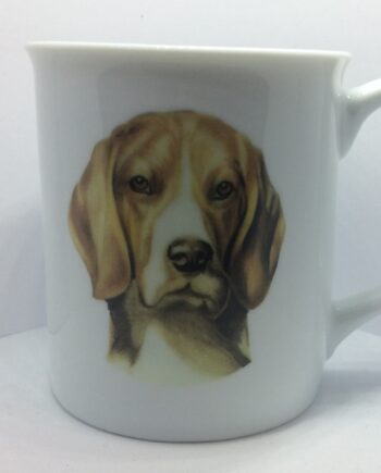 Krus Med Beagle