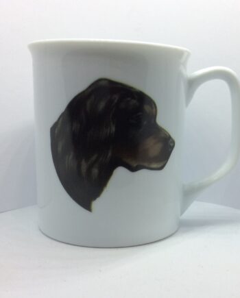 Krus Med Gordon Setter