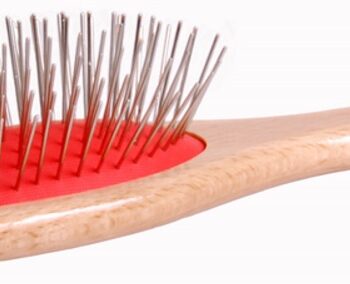 Kw Pigbørste