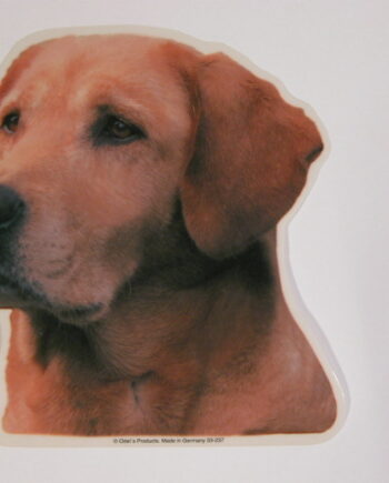Labrador Retriever  Gul  Hv  Vælg: Klistermærke  Nøglering  Broche  Slipsenål  Mm