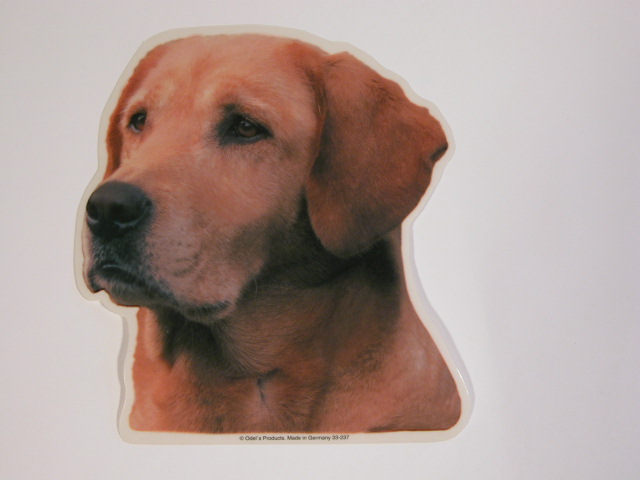 Labrador Retriever Gul Hv Vælg: Klistermærke Nøglering Broche Slipsenål Mm