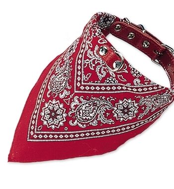 Læderhalsbånd Med Bandana