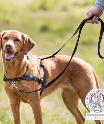 Lead   Walk Soft Harness  Anti Træk Sele