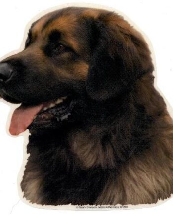 Leonberger  Hv  Vælg: Klistermærke  Nøglering  Broche  Slipsenål  Mm