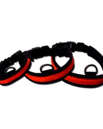 Lightcollar Lyshalsbånd  Rødt Med  -ring  Str  56-66cm