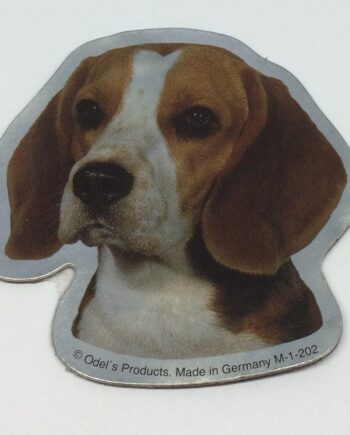 Magnet Med Beagle