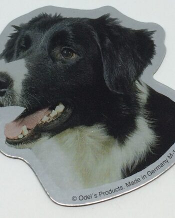 Magnet Med Border Collie