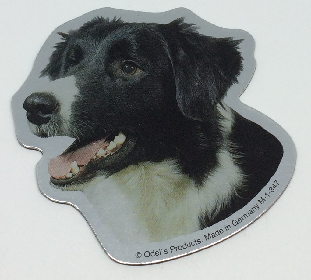 Magnet Med Border Collie